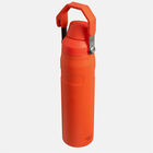Aerolight™ Iceflow™ Fast Flow Bottle | 0.6 L בקבוק ספורט